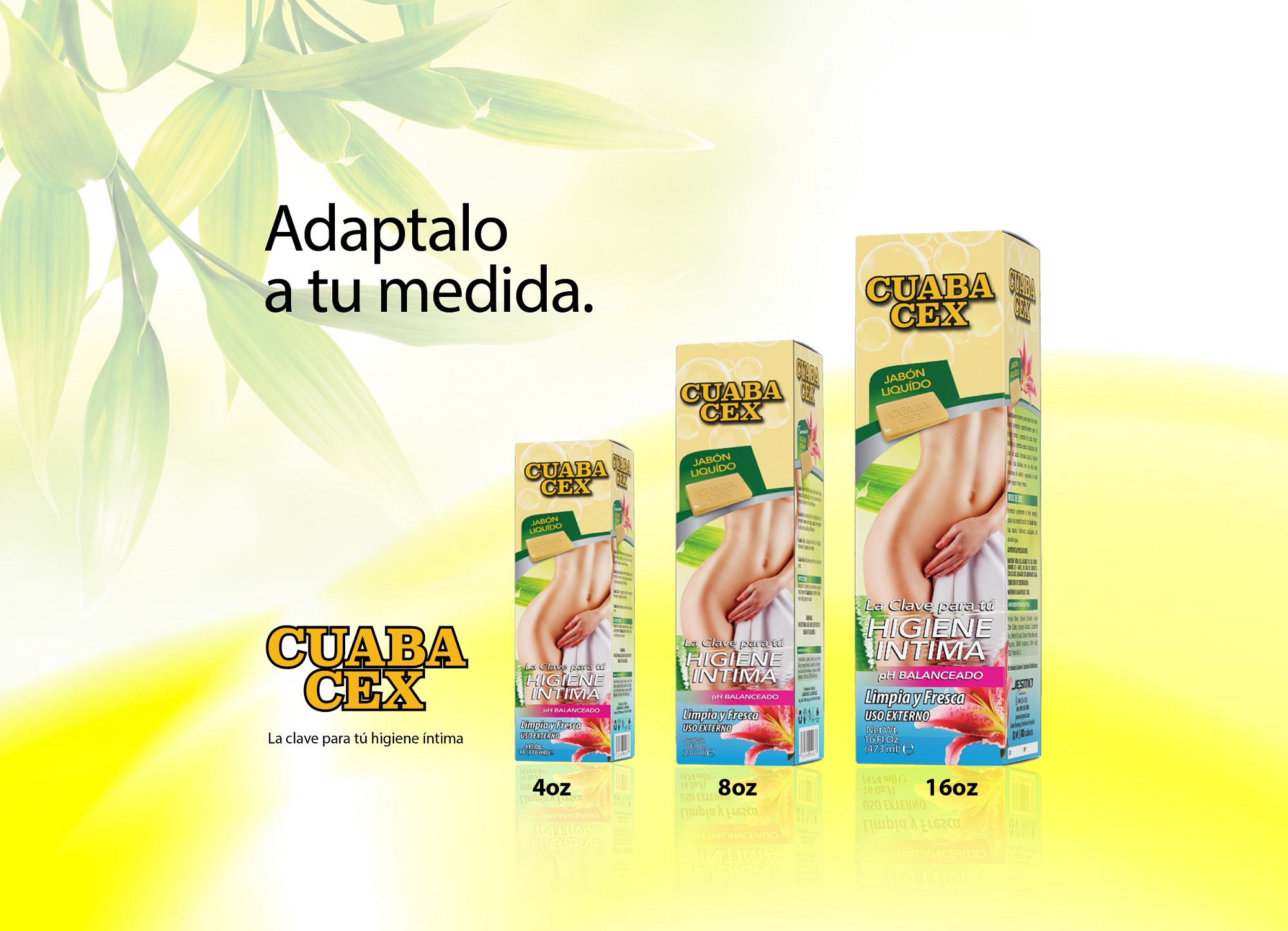 jesmo.com.do